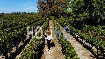 Aerial View Over A Woman Walking Through A Vineyard Winery In Argentina - Video Drone Footage