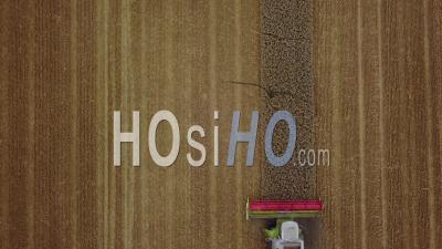 Combine-Harvester In A Wheat Field - Video Drone Footage
