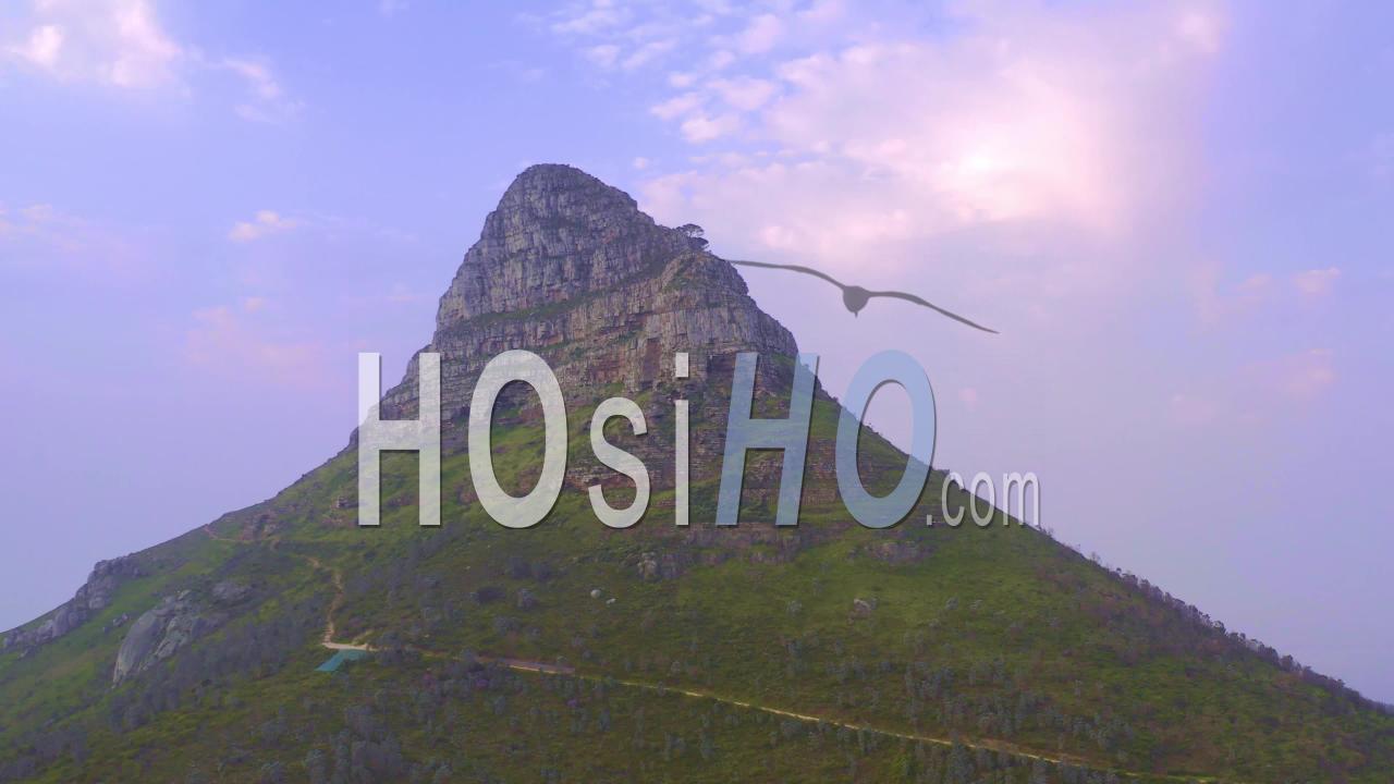 preview clip thumb