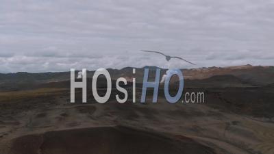 Centrales Géothermiques Dans Une Zone Volcanique Du Nord De L'islande - Vidéo Drone
