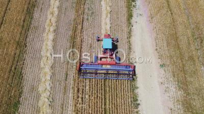 Overhead Combine Harvester In Wheat Field, Cape Town, South Africa - Video Drone Footage