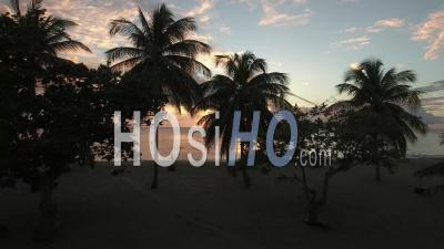 Aerial View Over Tropical Beach And Palm Trees Silhouette At Sunset - Video Drone Footage