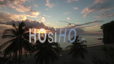 Aerial View Over Tropical Beach And Palm Trees Silhouette At Sunset - Video Drone Footage