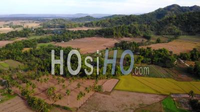 Paysage Agricole Tropical, Philippines - Vidéo Drone
