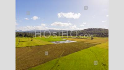 Agriculture Landscape With Rice Paddy Fields, Philippines, Drone View - Photographie Aérienne