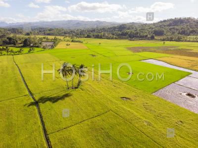 Agriculture Landscape With Rice Paddy Fields, Philippines, Drone View - Photographie Aérienne