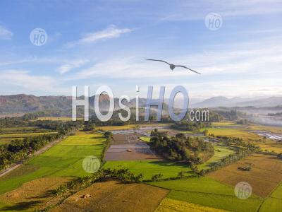 Paddy Field Landscape With Mountain Background, Philippines - Aerial Photography