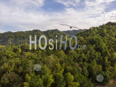Tropical Forest Covered Mountain Peak, Philippines - Drone Point Of View - Photographie Aérienne