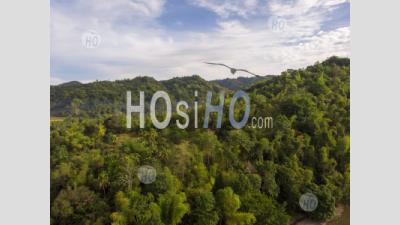 Tropical Forest Covered Mountain Peak, Philippines - Aerial Photography