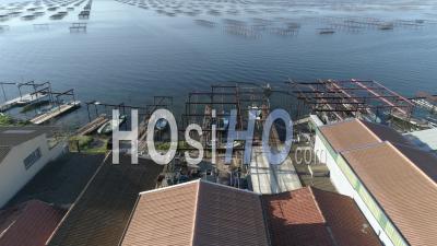 Aerial View Of The Oyster Beds In Bouzigues (pond Of Thau), Filmed By Drone In Summer
