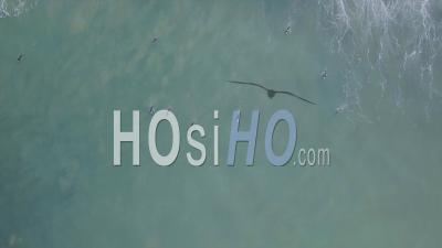 Surfers At The Line Up From Above On A Sunny Winter Day - Aerial Video By Drone