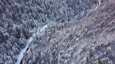 Forest Under Snow, Savoy, France, Video Drone Footage