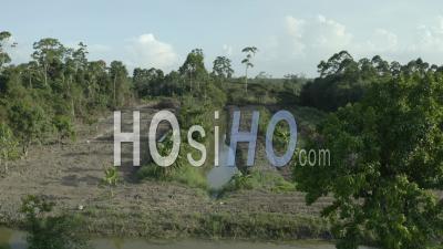 Deforested Area With Just A Couple Of Trees Left And A Agricultural Activities, Wanica, Suriname