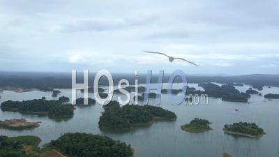 Vue Aérienne De La Forêt Amazonienne Des Montagnes Et Des îles Dans Un Lac