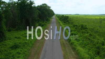 Route Goudronnée Ouverte Avec De L'herbe Et Des Arbres De Part Et D'autre, Nickerie, Suriname