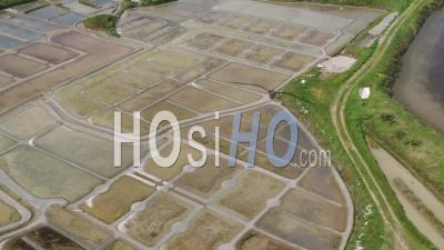 Salt Marsh Near La Baule, France - Video Drone Footage