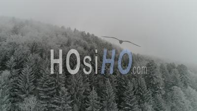 Snowy Landscape, Massif Des Vosges, France – Video Drone Footage