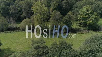 Bocage En Bretagne, Lisière Normandie, En été - Vidéo Aérienne Par Drone