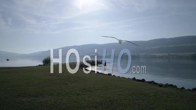 Le Lac Blue Joux En été En Suisse - Vidéo Drone