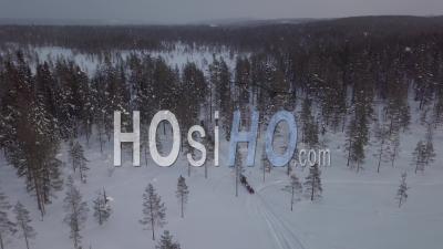 People Driving On Snowmobiles In A Snowy Forest Of Fir Trees, Tackasen, Sweden - Video Drone Footage