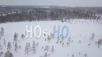 People And Snowmobiles In A Snowy Forest Of Fir Trees, Tackasen, Sweden - Video Drone Footage