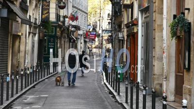 Covid19 - Man Walking Dogs In Quartier Latin