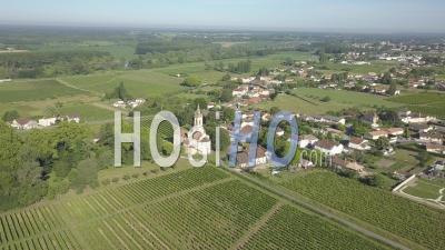 Vineyards In Bordeaux, Video Drone Footage