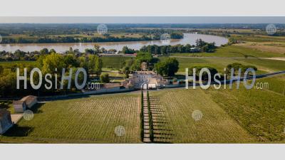 Aerial View Fronsac Vineyard Landscape, Bordeaux Vineyard - Aerial Photography - Aerial Photography