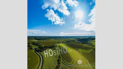 Aerial View Of Cognac Vineyard At Sunset - Aerial Photography