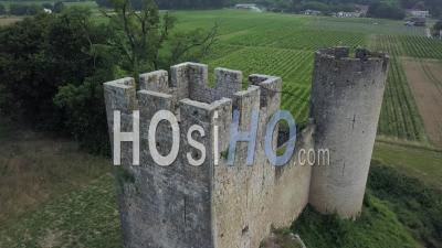 Castle In Vineyards And Wheat Fields, Video Drone Footage
