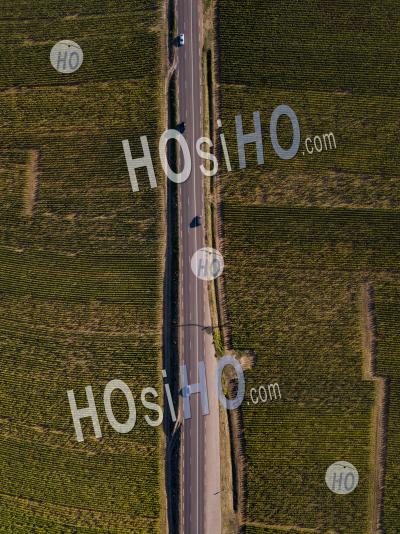 Topshot Of A Road In Burgundy Vineyards, France - Aerial Photography