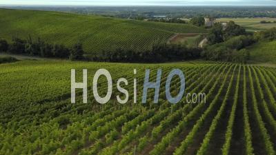 Langoiran Castle And Bordeaux Vineyards, Video Drone Footage