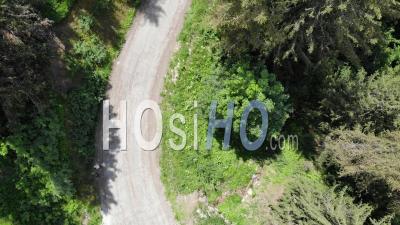 Top Shot Et Tilt Sur Une Route Dans Une Forêt Dans Les Alpes - Vidéo Par Drone