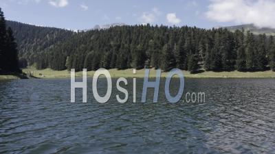 À La Découverte Des Pyrénées Derrière La Forêt De Sapins à Proximité D'un Lac - Vidéo Par Drone