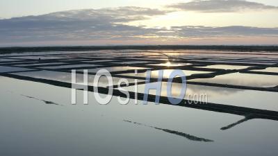 Guerande Loire Atlantique France Sunrise Salt Marshes Salin - Video Drone Footage