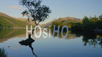 Paysage Paisible Au Lac Llyn Padarn, Avec Un Reflet Parfait D'un Arbre à Snowdania Wales Uk - Vidéo Aérienne Par Drone