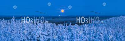 Super Moon (full Moon) Landscape Of Snow Covered Trees, Forest And Remote Winter Wilderness In Lapland, Finland, Arctic Circle - Aerial Photography