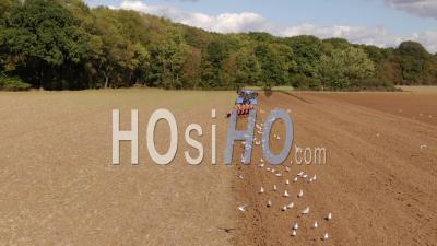 Aerial View Of Agricultural Tractor While Working In The Fields, Drone Point Of View