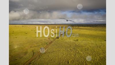 Lors D'un Safari En Vacances Dans La Faune Sauvage Dans Les Plaines Du Ranch De Sosian, Comté De Laikipia, Kenya - Photographie Aérienne
