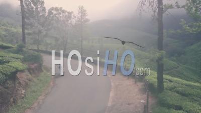 Moped Road Trip In India Through Tea Plantation Mountain Landscape. Aerial Drone View