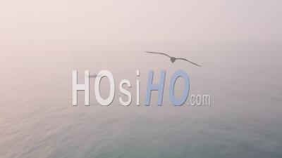 Fishing Boat At Sea At Sunrise, Net Fishing. Aerial Drone View