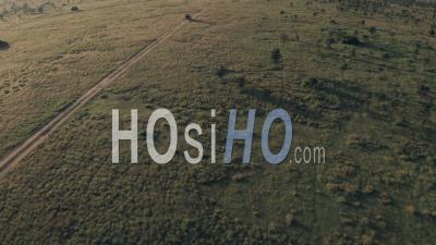 Véhicule 4 Roues Motrices Sur Safari Animalier Au Kenya. Vidéo Aérienne Par Drone D'aventure Safari