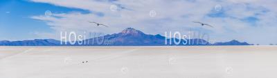 Uyuni Salt Flats (salar De Uyuni) 4wd Tour Seen From Island Called Isla Incahuasi, Uyuni, Bolivia, South America