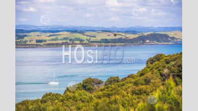 Sailing Boat In The Bay Of Islands Seen From Russell, Northland Region, North Island, New Zealand