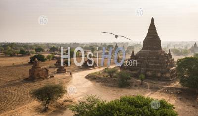 Lever Du Soleil Aux Temples De Bagan (païen), Myanmar (birmanie)