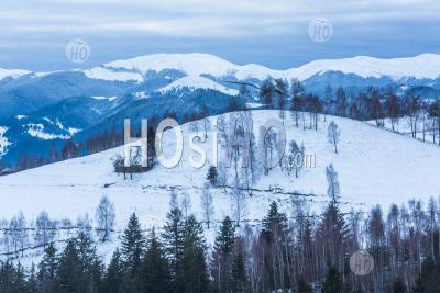 Carpathian Mountains Snowy Winter Landscape, Pestera, Bran, Transylvania, Romania