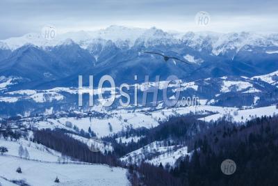 Carpathian Mountains Snowy Winter Landscape, Pestera, Bran, Transylvania, Romania
