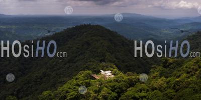 Equateur. Mashpi Lodge, Choco Cloud Forest, Une Forêt Tropicale Dans La Province De Pichincha De L'Équateur, En Amérique Du Sud
