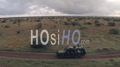 Woman Sitting On Top Of 4 Wheel Drive While On Wildlife Safari Vacation In Kenya. Aerial Drone View