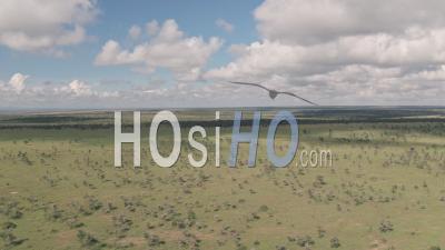 Aerial Drone View Of African Savanna Landscape In Laikipia, Kenya